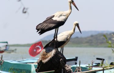 Bayramda Eskişehir Bursa Mudanya Trilye Camlıkızık Turu 4 * Tiara Termal Otel  2 Gece Konaklamalı