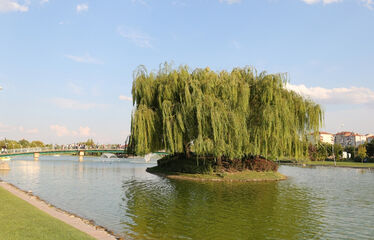 Eskişehir Odunpazarı Turu 