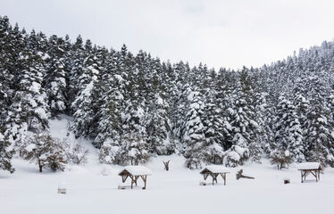 The Si̇gn Esentepe Otel Konaklamalı Haftasonu Safranbolu Yörükköy  Abant Gölcük Gölü Turu