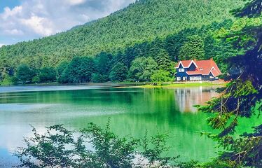 Abant Gölcük Gölü Turu Nesi̇lce Tati̇l Köyü Bungalov Konaklamalı
