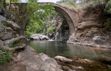 Bayramda Ayvalık Kazdaği Köyleri̇ Assos Doğal Terapi̇ Turu