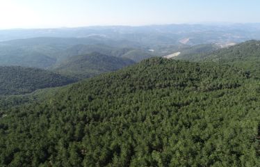 Bayramda Ayvalık Kazdaği Köyleri̇ Assos Doğal Terapi̇ Turu
