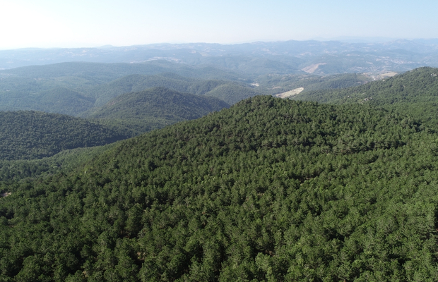 Bayramda Ayvalık Kazdaği Köyleri̇ Assos Doğal Terapi̇ Turu