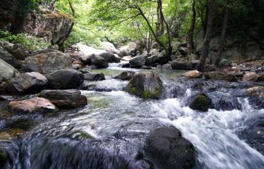 Bayramda Kazdağları Jeep Safari Ayvalık Assos Doğal Terapi Turu Extreme Program  Denize Sıfır 4* Musho  Otel Konaklamalı  