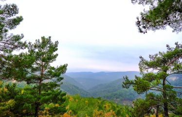 Bayramda Afrodit Termal Otel Konaklamalı Kazdağları Jeep Safari Ayvalık Assos Doğal Terapi Turu Maceralı Yolculuğa Hazır mısınız?