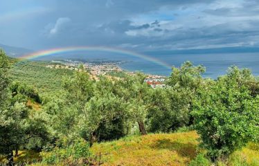 Bayramda Kazdağları Termal Ve Doğa Turu 2 Gece 3 Gün Afrodi̇t Termal Otel Konaklamalı