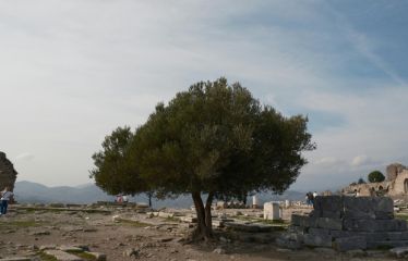 Bayramda Kazdağları Termal Ve Doğa Turu 2 Gece 3 Gün Afrodi̇t Termal Otel Konaklamalı
